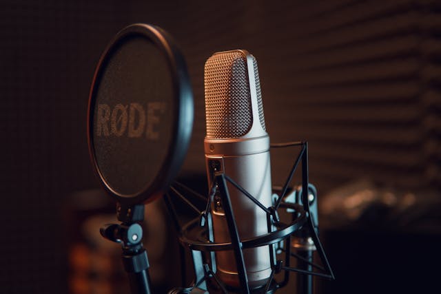 voice over and subtitling services